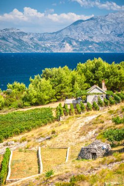 View on a landscape with a rural residence on The Brac island at the Adriatic sea with a mountain coast background of Croatia, Europe. clipart