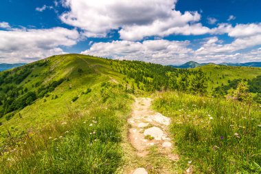 Manzara mavi gökyüzü bulutlu arka planda otsu çayır ve dağ zirveleri ile bahar. Donovaly alan Velka Fatra Milli Parkı, Slovakya, Avrupa.