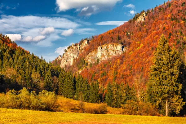 斯洛伐克 欧洲马拉法特拉国家公园的秋季景观 — 图库照片
