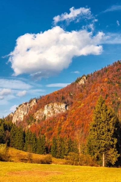 Paysage Automne Dans Parc National Mala Fatra Slovaquie Europe — Photo