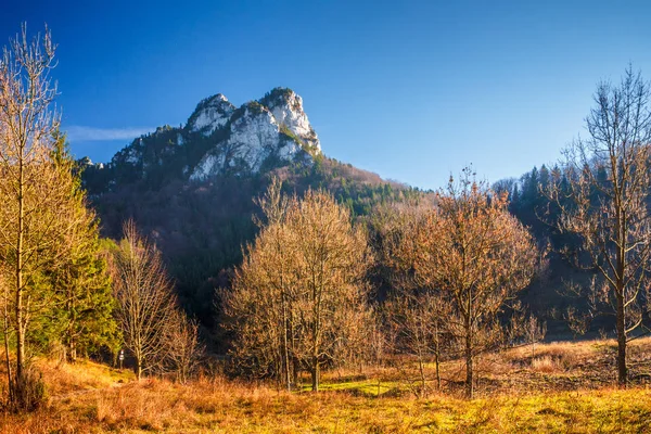 Jesienny Krajobraz Małej Fatrze Park Narodowy Słowacja Europa — Zdjęcie stockowe
