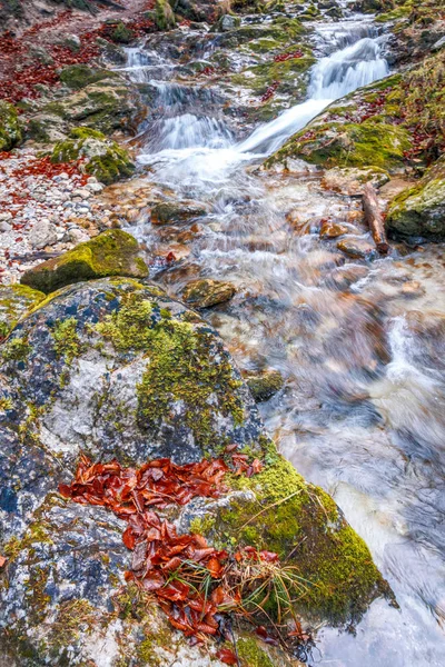Stream Der Herbstsaison Nationalpark Mala Fatra Der Nähe Des Dorfes — Stockfoto