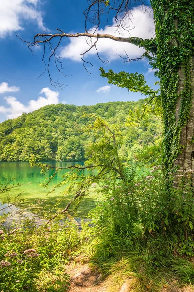 Vista Paisagem Com Lago Parque Nacional Dos Lagos Plitvice Croácia — Fotografia de Stock