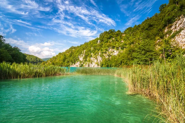 Kilátás Nyílik Táj Plitvicei Tavak Nemzeti Park Horvátország Európa — Stock Fotó