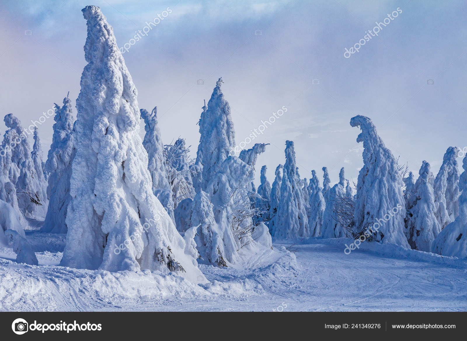 雪に覆われた冬の風景の美しい風景です ヨーロッパ スロバキアの Kubinska はいはい山からの眺め ストック写真 C Viliam Mucha Gmail Com