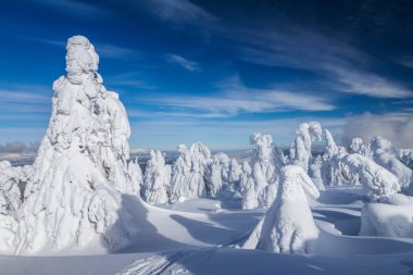 Karlı kış manzara güzel sahne. Kubinska hola dağ Slovakya, Europe üzerinden görüntülemek.