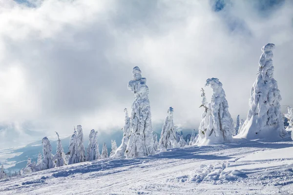 Beautiful Scenery Snowy Winter Landscape View Kubinska Hola Mountain Slovakia — Stock Photo, Image