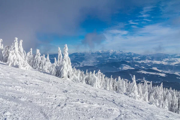 Beautiful Scenery Snowy Winter Landscape View Kubinska Hola Mountain Slovakia — Stock Photo, Image