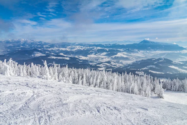 Vackra Landskapet Det Snöiga Vinterlandskapet Visa Från Kubinska Hola Mountain — Stockfoto