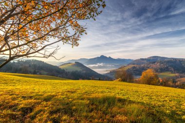 Ağaç dağlar, gündoğumu ile sonbahar manzara bir ön planda. Slovakya, Europe Terchova Köyü çok uzak olmayan mala Fatra Milli Parkı.