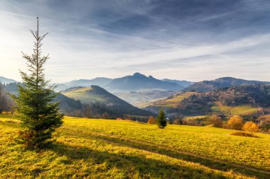 Ağaç dağlar, gündoğumu ile sonbahar manzara bir ön planda. Slovakya, Europe Terchova Köyü çok uzak olmayan mala Fatra Milli Parkı.