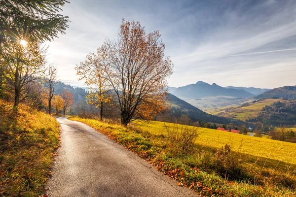 Egy keskeny úton egy őszi tájon a hegyek. — Stock Fotó