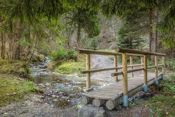 Een houten voetgangersbrug over een beek in een bos. — Stockfoto