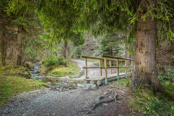 Een houten voetgangersbrug over een beek in een bos. — Stockfoto