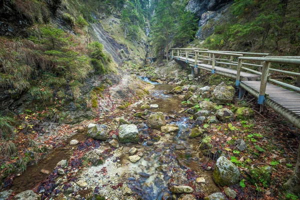 Egy fa gyaloghíd egy patak felett az erdőben.. — Stock Fotó