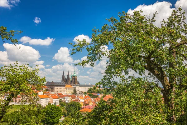 Pohled na Pražský hrad z parku pod na Petřín. — Stock fotografie