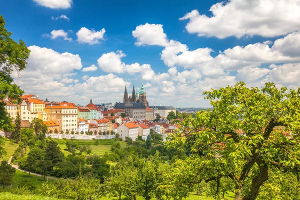 Vista do Castelo de Praga do parque sob a Colina Petrin . — Fotografia de Stock