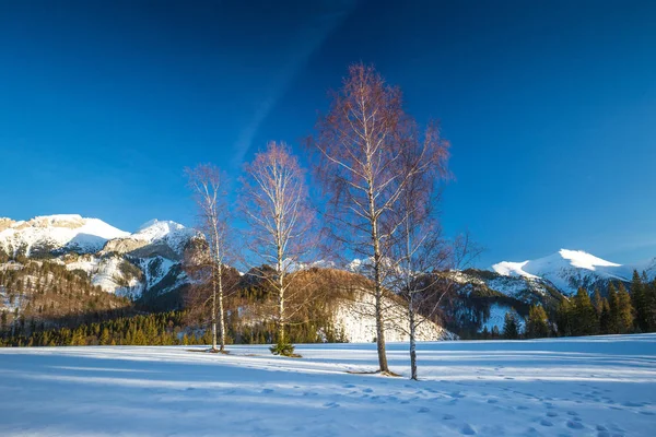 Snörik vinterlandskap med berg i solnedgången. — Stockfoto