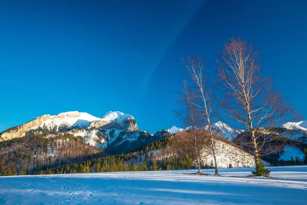 Snörik vinterlandskap med berg i solnedgången. — Stockfoto