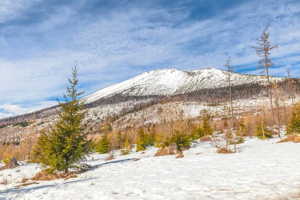 Utsikt över landskap med snötäckta berg i bakgrunden. — Stockfoto