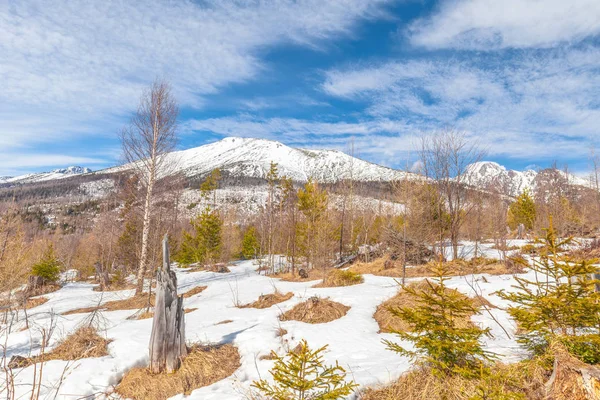 Utsikt över landskap med snötäckta berg i bakgrunden. — Stockfoto