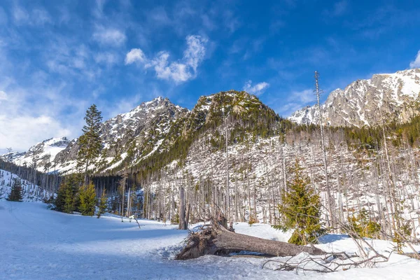 Vista del paisaje con montañas nevadas . — Foto de Stock