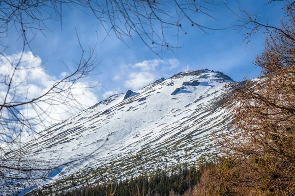 Вид на пейзаж зі сніжними горами на задньому плані . — стокове фото