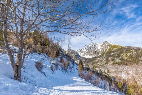 Utsikt över landskap med snötäckta berg. — Stockfoto