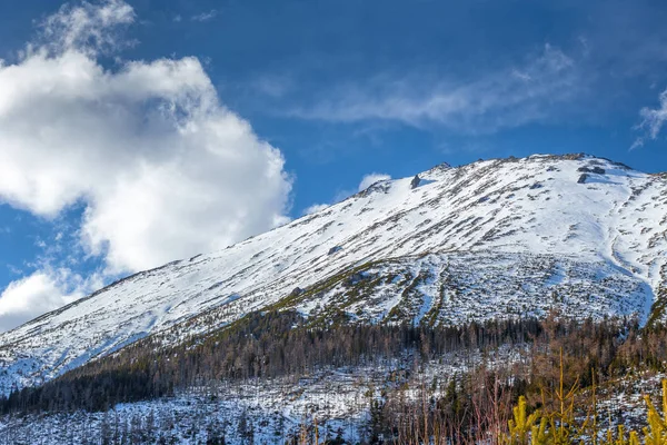 Blick auf die Landschaft mit schneebedeckten Bergen im Hintergrund. — Stockfoto