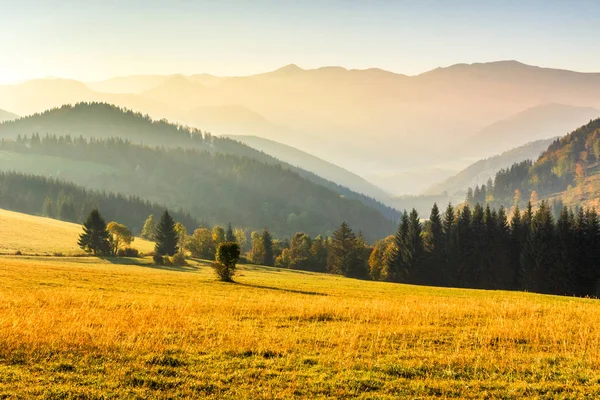 Paesaggio autunnale, alba in una mattina nebbiosa . — Foto Stock