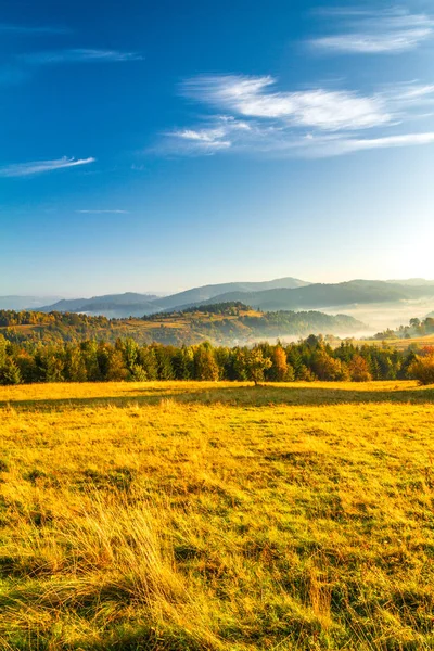 Sonbahar manzara, sisli bir sabah gündoğumu.
