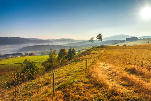 Sonbahar manzara, sisli bir sabah gündoğumu.