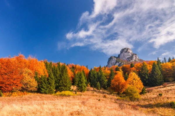 Autumn landscape in The Mala Fatra national park, Slovakia. — Stock Photo, Image