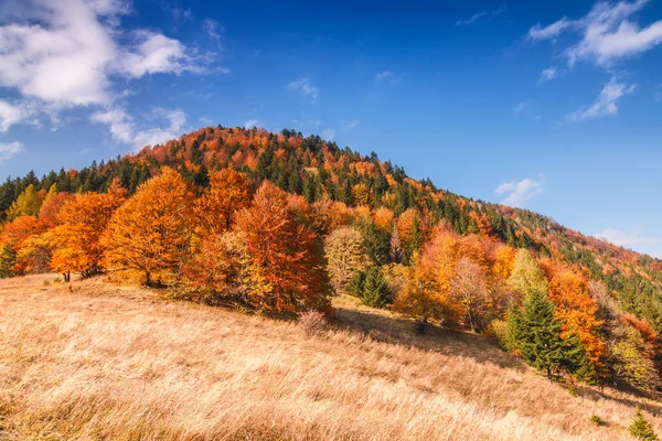 Podzimní krajina v národním parku Malá Fatra, Slovensko. — Stock fotografie