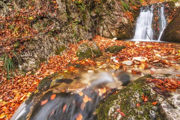 Wasserfall an einem Bach im Herbstwald. — Stockfoto