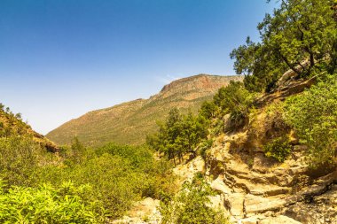 Kuzeydoğu Fas'ta Beni Snassen Dağları Manzara.