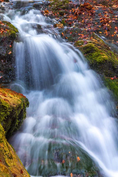 Cascata in una foresta nella stagione autunnale . — Foto Stock