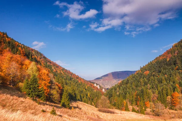 マラ・ファトラ国立公園の秋の風景, スロバキア. — ストック写真