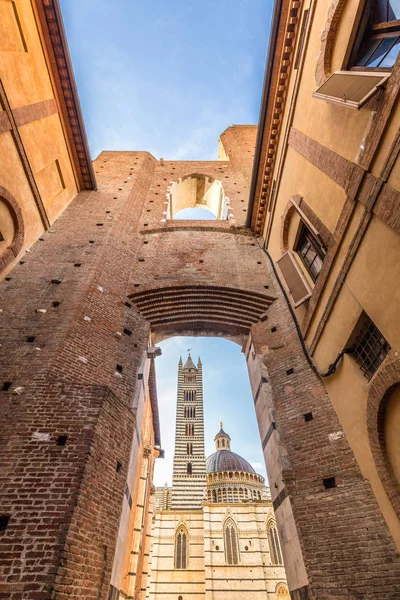 Kathedraal van Siena, een middeleeuwse kerk. — Stockfoto