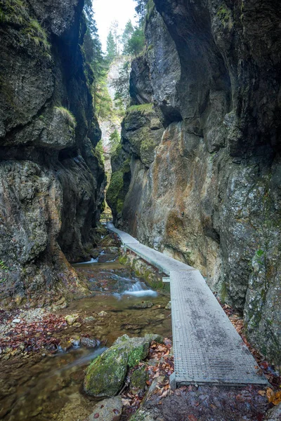 Kayalık geçit Dolne diery üzerinde yaya köprüsü. — Stok fotoğraf
