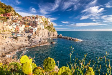 Manarola görünümü (Yerel lehçede Manaea).