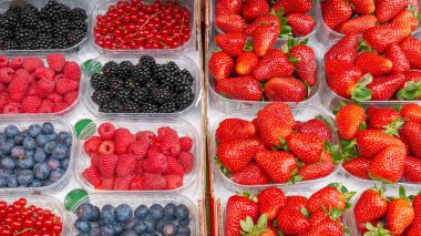 Taze çilek, yaban mersini, kuş üzümü ve ahududu.