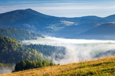 Sonbahar sabahı dağ manzara vadilerinde Sis.