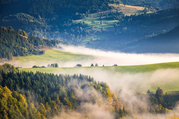 秋の朝の山の風景の谷の霧. — ストック写真