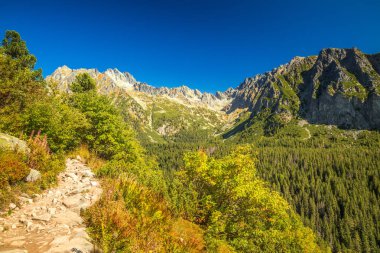 Yüksek Tatras Popradske pleso gölüne yürüyüş parkuru.
