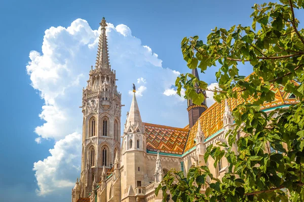 Holy Trinity Meydanı'ndaki Matthias Kilisesi, Budapeşte, Macaristan. — Stok fotoğraf