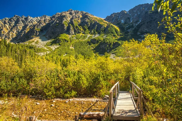 Ponte di legno in primo piano del paesaggio montano in autunno . — Foto Stock