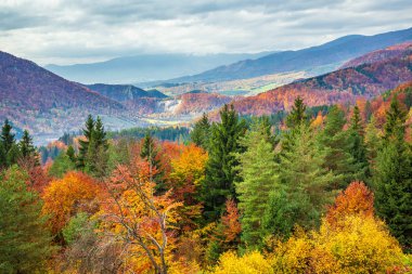 Sonbahar renklerinde ormanlarla kaplı dağ manzarası.