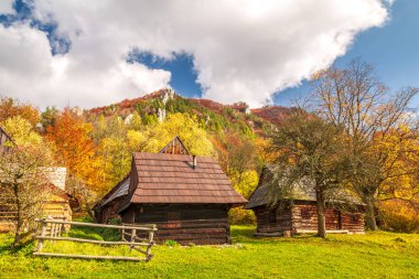 Turuncu renkli ağaç ve ahşap kulübelerle sonbahar manzarası.