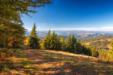 Sonbahar renklerinde ormanlarla kaplı dağ manzarası.